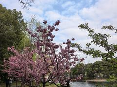 -新江湾城公园