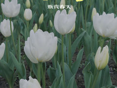 -静安雕塑公园