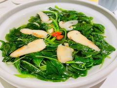 松茸苋菜汤-悦融·京鲁菜·露台花园(安定门店)