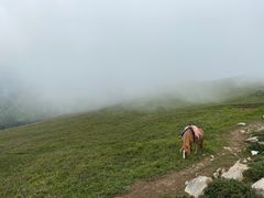 -灵山