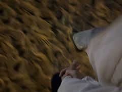 -白城沙滩