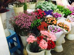 -双季花艺园艺市场(浦东店)