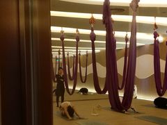 -W FITNESS 威尔仕健身·游泳(老西门新苑店)
