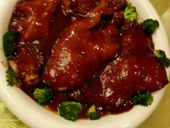 -丁老爷子苏香圆
