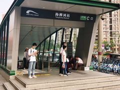 -杨柳河(地铁站)