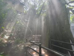 -青青世界