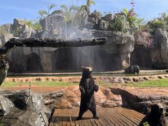 -海南热带野生动植物园