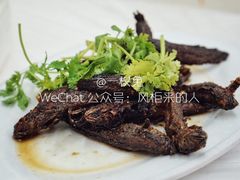-老三鱼仔店