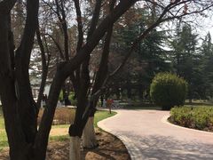 -金城公园