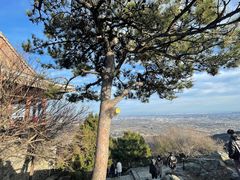 -香山公园