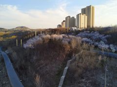 -小绿谷公园