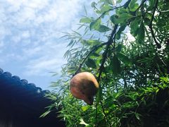 -法云安缦酒店