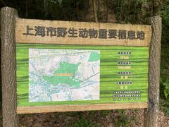 -上海佘山国家森林公园天马山园