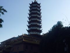 -仙岳公园
