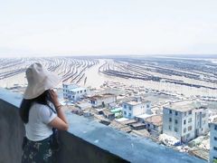 -北岐滩涂