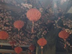 -鸥迪足道(安庆店)