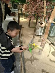 -酷嗒动物文化乐园(cutezoo西溪乐天城店)