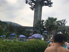 -苏州乐园森林水世界