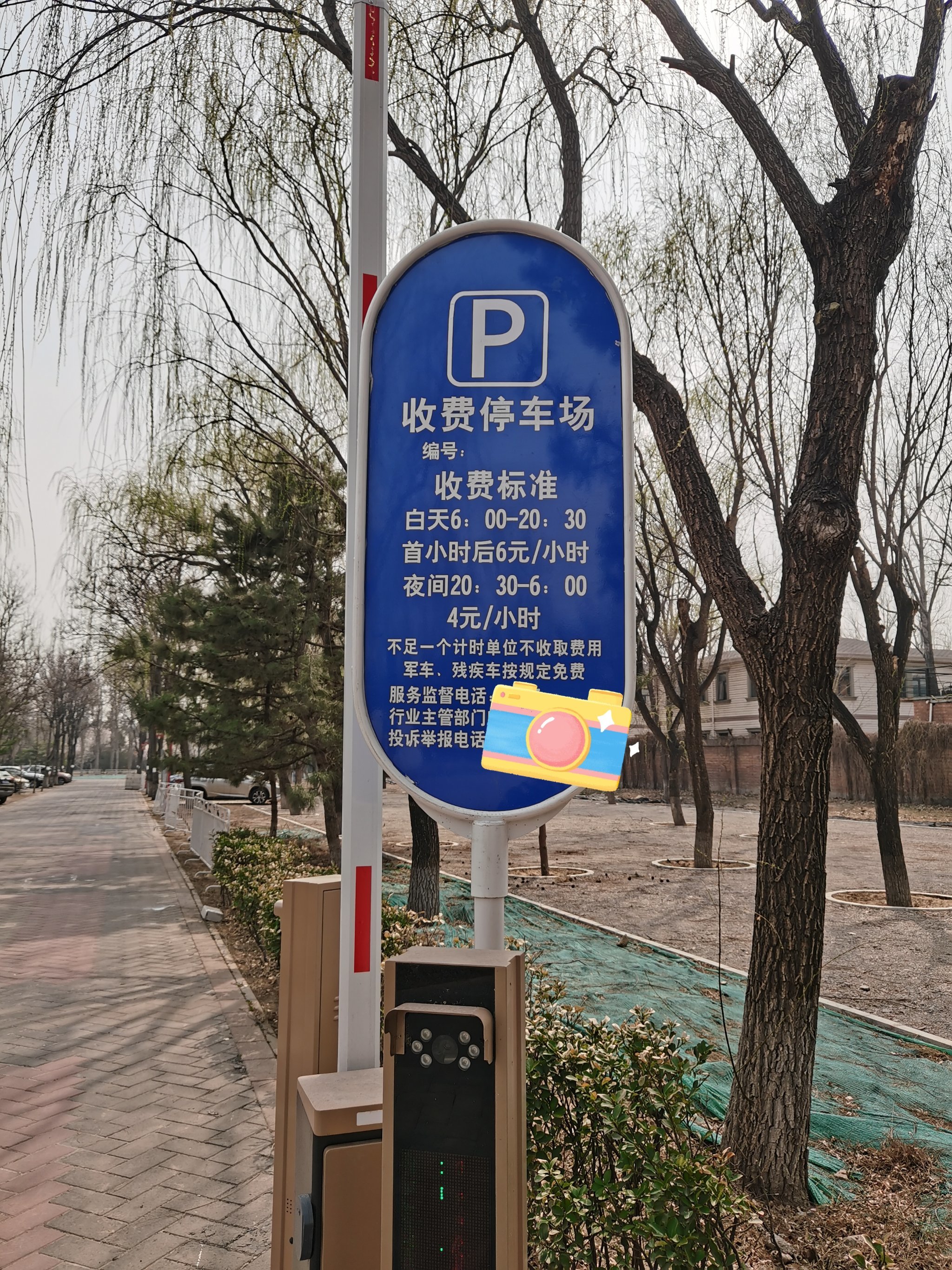 免费停车最后一天让我赶上了😂