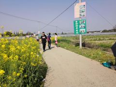 -小鱼草莓采摘园农家乐·小鱼餐厅
