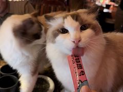 -南京天堂隔壁酒吧