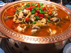 -沪小二炭火蛙锅(淮海中路美食不夜城店)