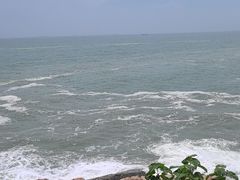 -小麦岛公园