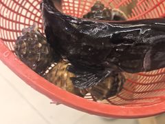 -鑫鸿达·海鲜闽菜热炒小馆(中山路店)