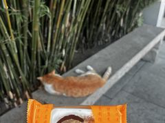 -龙华寺
