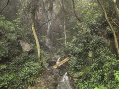 -南丹山森林王国