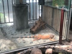 -上海大自然野生昆虫馆(东方明珠·爬宠昆虫探索中心)