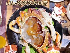 -鲜炉季港式打边炉(尚海湾店)