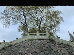 -徐福公园