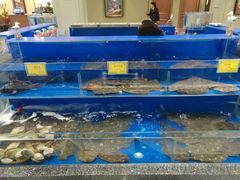 -新海渔港·胶东海鲜家常菜·家宴(奥体中心店)