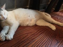 -张记牛肉面馆(天津路店)