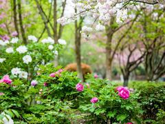 -江南大学(蠡湖校区)