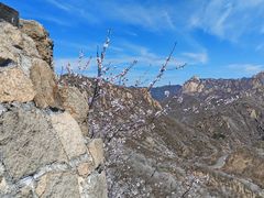 -龙泉峪长城