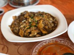 -孔庆璞河豚馆(白玉兰酒店)