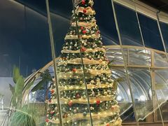 -Hi City·城市之巅