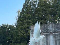 -音乐台