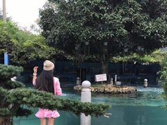 -天怡·鱼工厂(临江店)