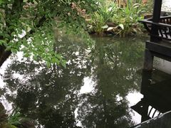 -王家渡火锅(三苏祠店)
