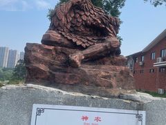 -广西壮族自治区药用植物园