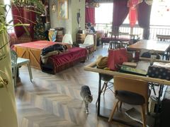 -1984魔法桌游(观音桥店)