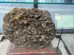 -房山世界地质公园博物馆