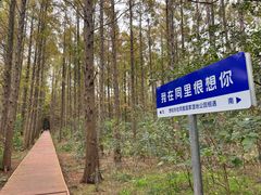 -同里国家湿地公园
