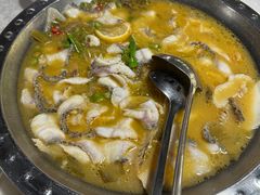 -陈生记黑鱼馆·20年活鱼现杀(宁波鼓楼店)
