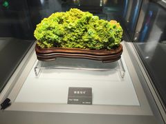 -安徽省地质博物馆