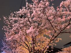 -永乐路-路侧停车场