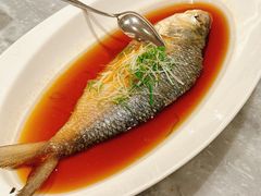 -喜来登由由大酒店九州膳坊中餐厅